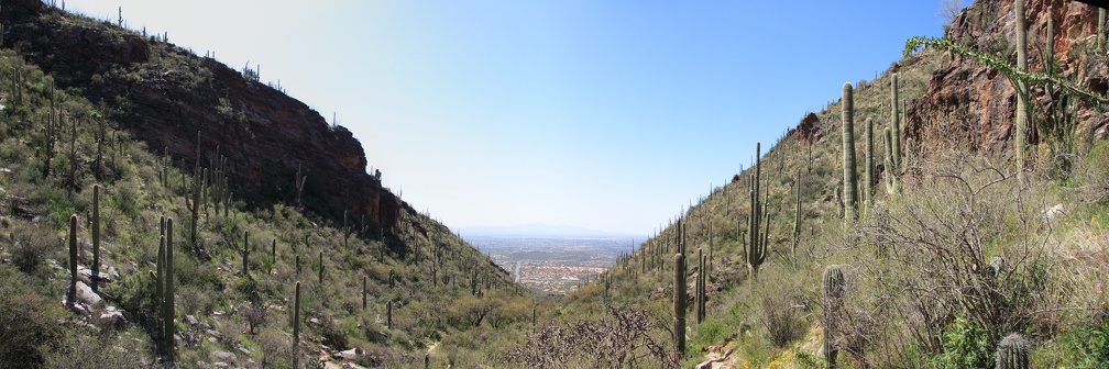 Tucson-Esperero Trail 11-13 pano